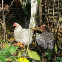 Jana Karima Woehrle's Photo