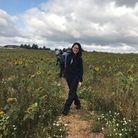 Zhang Dongyang的照片