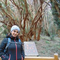 Carla Leiva的照片