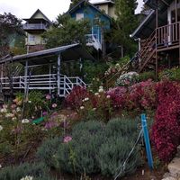 rina  jumat的照片