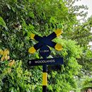 The Green Corridor Hiking Trail's picture