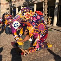 Ankara Tapia的照片