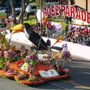 Rose Parade Showcase's picture