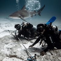 Anibal Ascencio's Photo