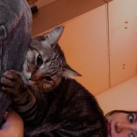 Sofia Capdevila's Photo