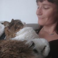 Rosenn Carré'Vert's Photo