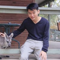 Photos de Calvin Chua