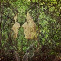 Consuelo Giavarini's Photo