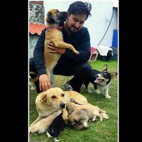 Fotos de Daniel Hernández  FB/IG: "Benito's house"