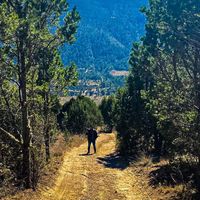 Miguel Zenteno's Photo