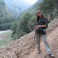 Negin Mohebbi的照片