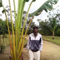 Fotos de Randria Bernard