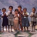 We Are Looking For Community School Volunteers 's picture