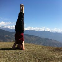 Elin Haettner的照片