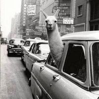 Simon Bringier's Photo