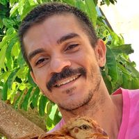 Igor Tavares的照片