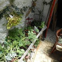 pj Pffffffff's Photo