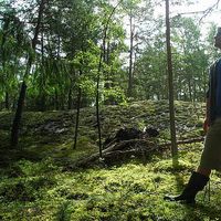 Kyle Broyles的照片