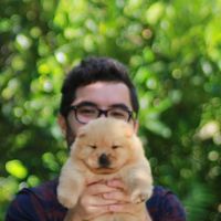 Stefano Braga de Souza's Photo