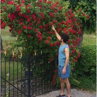 Sasan Rostami's Photo