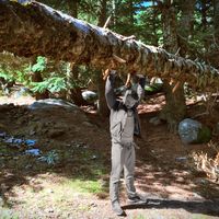 Fotos de Berkay Alkısel