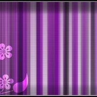 altahir ibrahim的照片