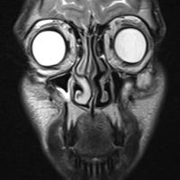 Gabriele Magliano's Photo