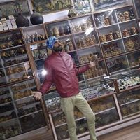 Jimran  Jaipur tour's Photo