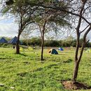 фотография Camping at Ikuzn Bushcamp