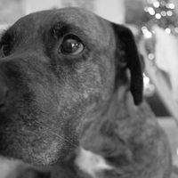 Mirko Silverio's Photo