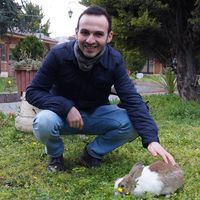 Ziya Jafarov's Photo