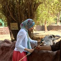 Sara Elghandour的照片