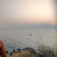 Shahar Folkman's Photo