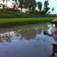 Léopold  THOMAS's Photo