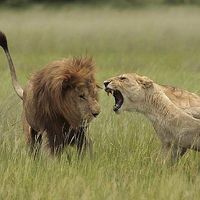 pedro Gaspacho's Photo