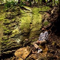 Zdjęcia użytkownika miroslav Kazandjiev