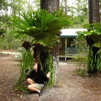 Julia Stevens's Photo