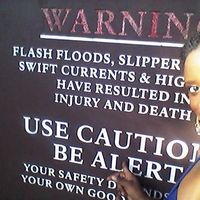 Lynette Hall的照片