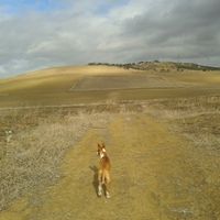 Adrián Alba的照片