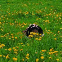 Kadi  Olayinka's Photo