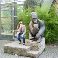 Michaela Praskova's Photo