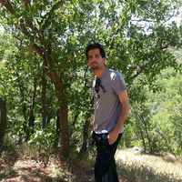 Hamed Kurdistani的照片