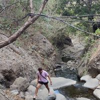 Alejandro Mendoza's Photo