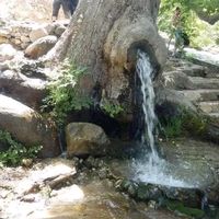 Nasser Nasser's Photo