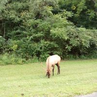 Regina Gamache's Photo