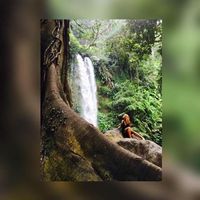 Monique Fischer的照片