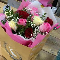 Malika Nozimi的照片