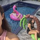 Project X. Financial mistake's picture