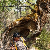 Rocky Ciarmoli的照片