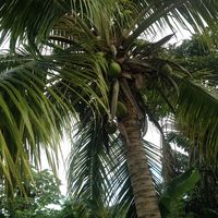 Lucien Deval's Photo